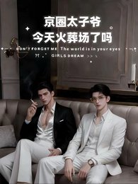 京圈太子爺,今天火葬場了嗎