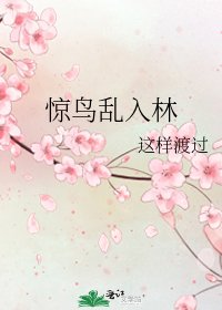 惊鸟乱入林