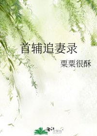 清冷首輔火葬場紀實/首輔追妻錄